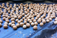 2012/03/05 Making Seedballs