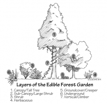 forest_garden_labeled1