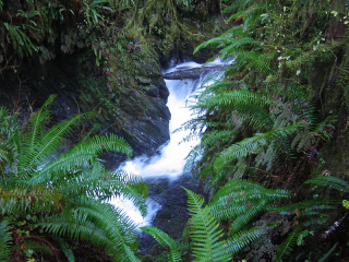 800px-quinault_small_waterfall